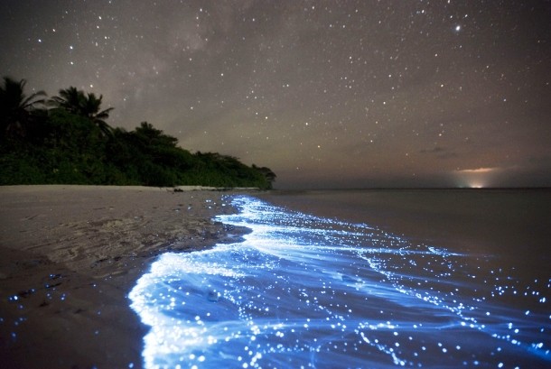 Bioluminescence is the production and emission of light by a living organism. One of the most astonishing examples of this unusual natural phenomenon can be seen on the Vaadhoo Island, Maldives, which is famous for the bioluminescence display of the phytoplankton known as dinoflagellates.