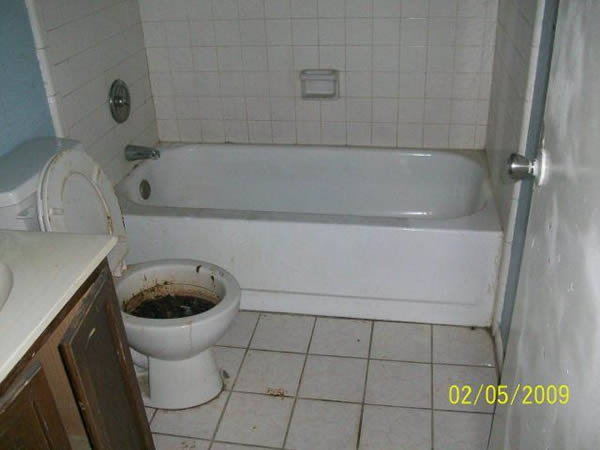 No need to flush if you are planning to sell the house, right?