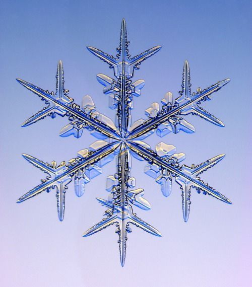 27 Snow Crystals Under A Microscope!