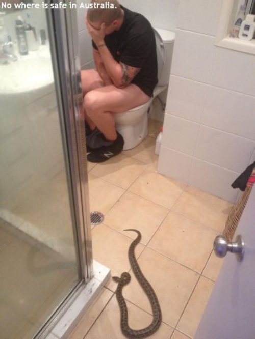 guy pooping - No where is safe in Australia.