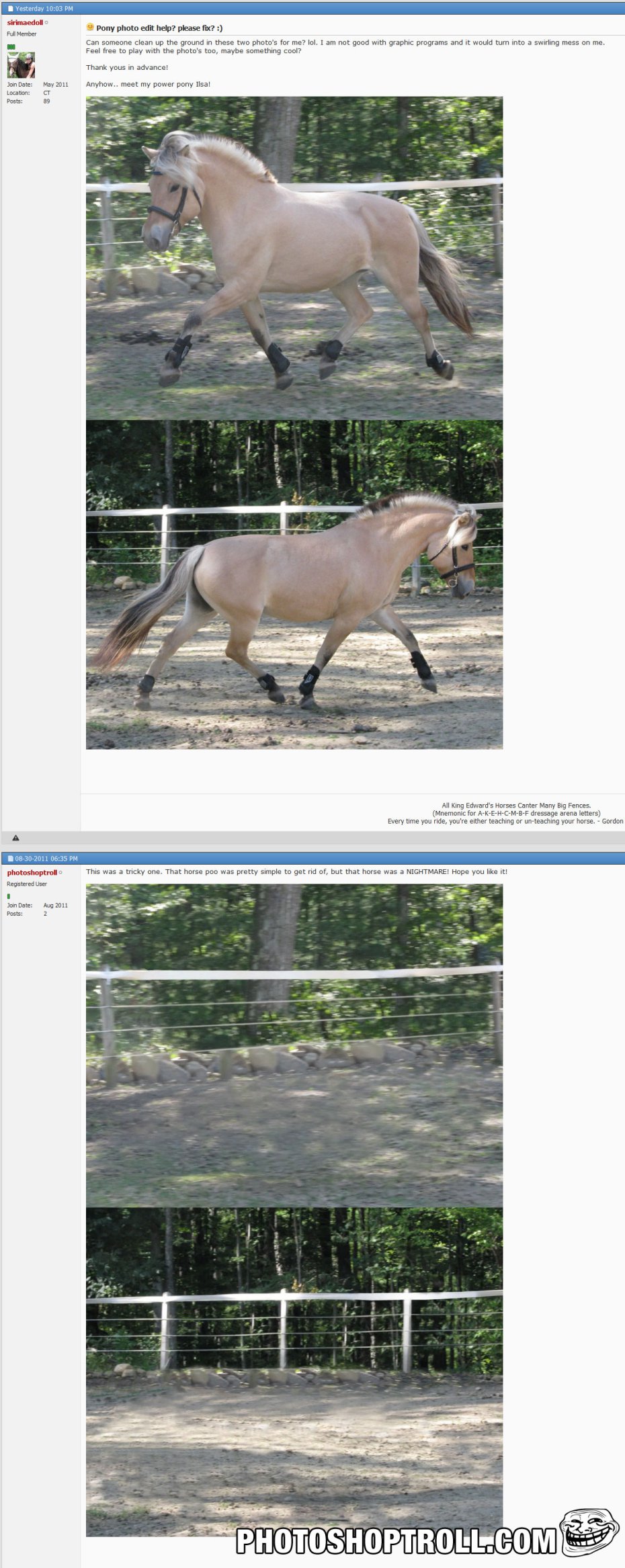 wildlife - Yesterday Sirimaedoll Full Member Pony photo edit help? please fix? Can someone clean up the ground in these two photo's for me? lol. I am not good with graphic programs and it would turn into a swirling mess on me. Feel free to play with the p