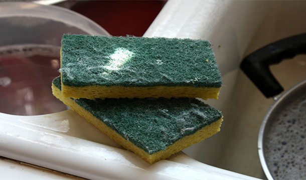 dirty kitchen sponge