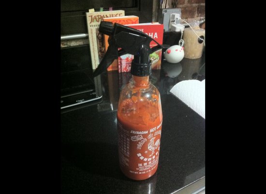 Hot Sauce Squirter...No more asking to Pass the sauce.Just have some emergency eye wash ready