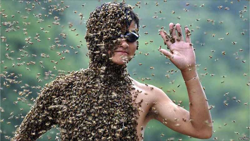 Bee Wearing-This Chinese contest is beyond bizarre. The winner is decided by the most weight of bees. The Guinness World Record holder wore around 87 pounds, which was around 350,000 bees.