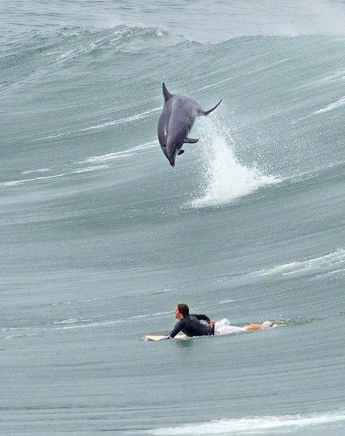 pipa brazil surf