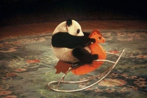 panda on a rocking horse