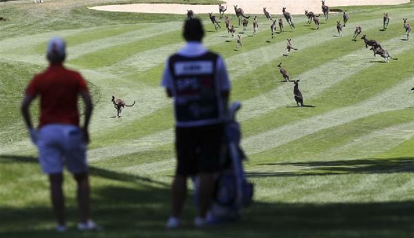 australian golf course