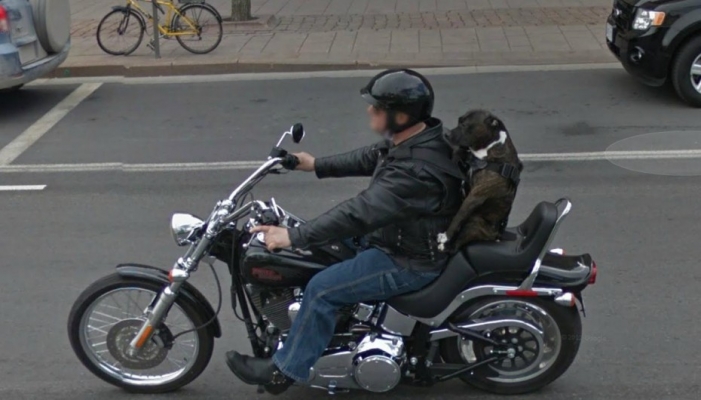 Biker and his dog