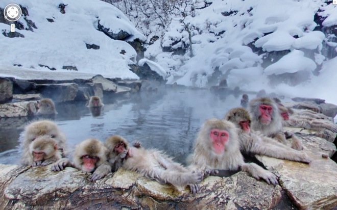 Baboons enjoying the hot springs