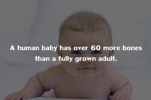 20 Stunning facts about the human body you may not know!