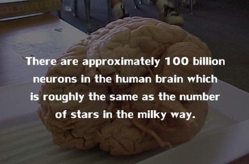 20 Stunning facts about the human body you may not know!