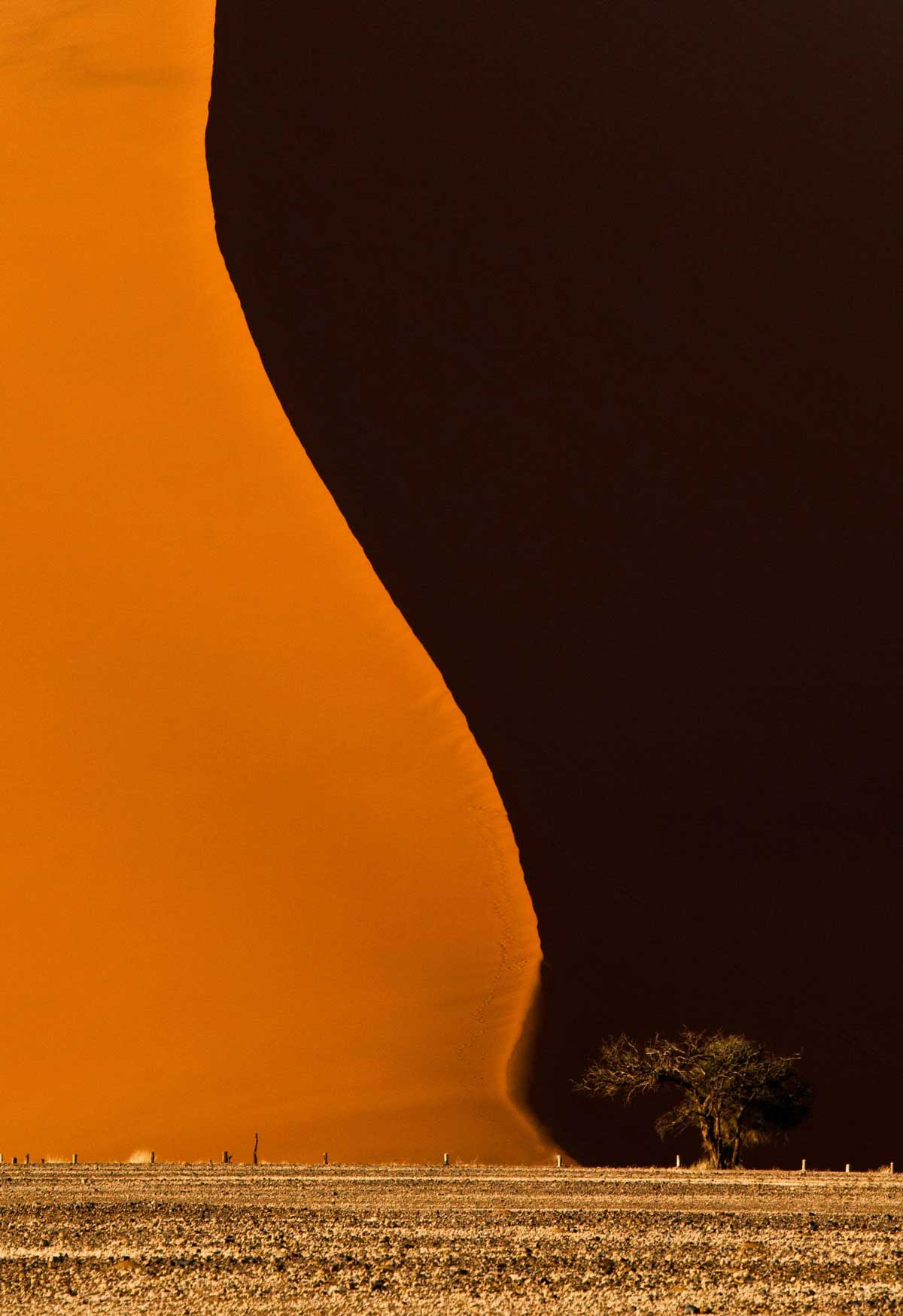 dune 40 namibia