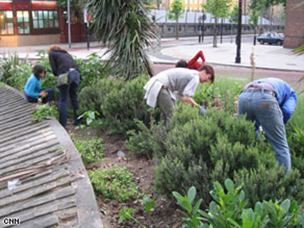 Guerrilla Gardeners of London...Richard Reynolds is credited with sparking a guerilla gardening movement in 2004 starting with a weed-filled plot outside his South London flat. From there, he moved on to other areas, often weeding and seeding after midnight (guerilla gardening is illegal). When others saw his renegade work, they too joined in, cleaning up roundabouts and pathways neglected by the landowners or the city. Now many of these plantings have become officially sanctioned by the city.