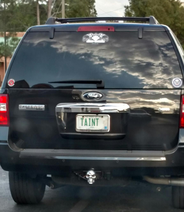 vehicle registration plate - Expedition Taint