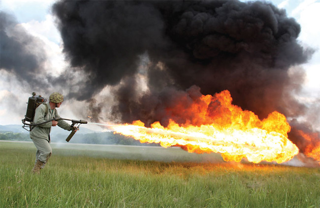 Yes, every American in the United States is allowed to own a flamethrower.