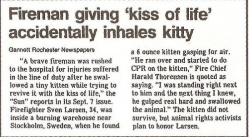 omg sweden funny headlines - Fireman giving "kiss of life' accidentally inhales kitty Gannett Rochester Newspapers "A brave fireman was rushed to the hospital for injuries suffered in the line of duty after he swal lowed a tiny kitten while trying to revi