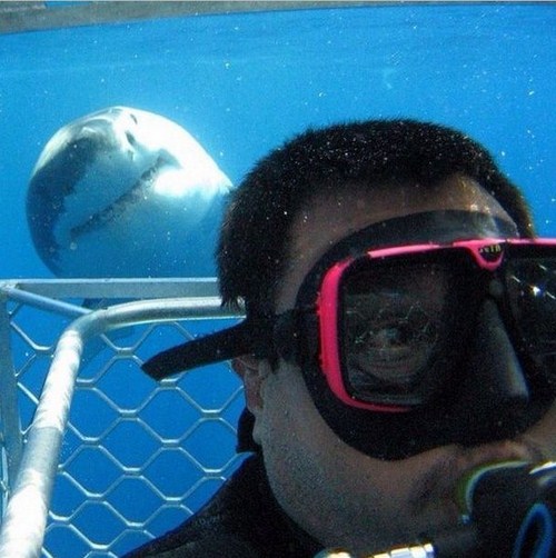 35 People Who Took Selfies to Another Level
