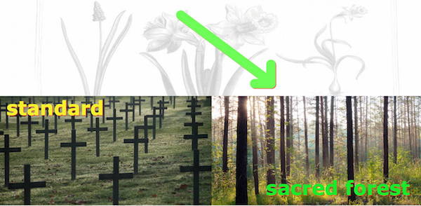 Instead of a cemetery, a memorial forest is built (grown)