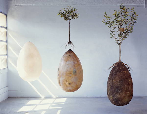 Instead of coffins or cremation – burial pods