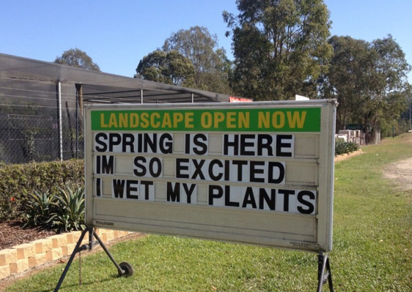 spring is here i wet my plants - Landscape Open Now Spring Is Here! Im So Excited Lwet My Plants