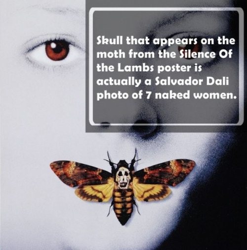 silence of the lambs poster - Skull that appears on the moth from the Silence Of the Lambs poster is actually a Salvador Dali photo of 7 naked women.
