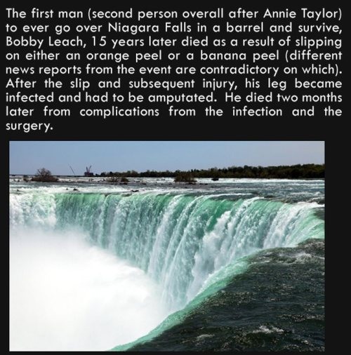 niagara falls - The first man second person overall after Annie Taylor to ever go over Niagara Falls in a barrel and survive, Bobby Leach, 15 years later died as a result of slipping on either an orange peel or a banana peel different news reports from th