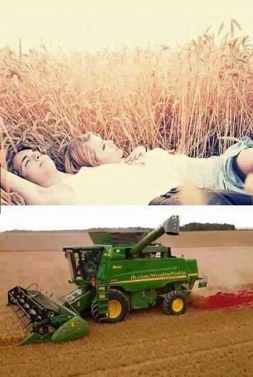 love is really strong but a combine harvester