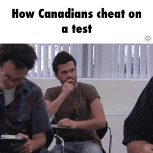tumblr - you can do it cheating - How Canadians cheat on a test