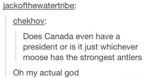 tumblr - canadian jokes - jackofthewatertribe chekhov Does Canada even have a president or is it just whichever moose has the strongest antlers Oh my actual god