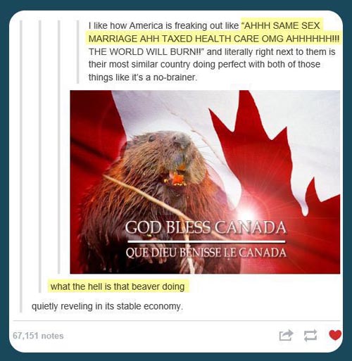 tumblr - funny canada - I how America is freaking out "Ahhh Same Sex Marriage Ahh Taxed Health Care Omg Ahhhhhh!!! The World Will Burn!!" and literally right next to them is their most similar country doing perfect with both of those things it's a nobrain