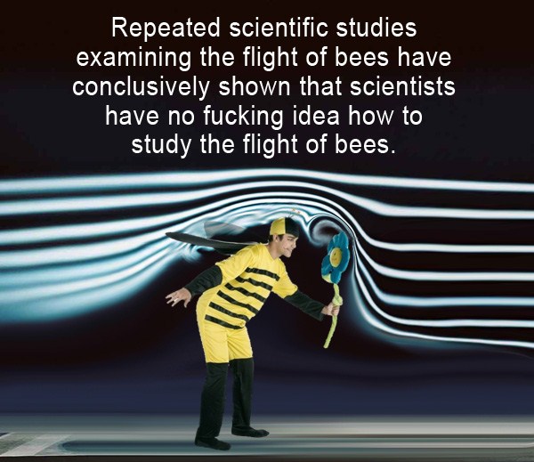 johnny the homicidal maniac - Repeated scientific studies examining the flight of bees have conclusively shown that scientists have no fucking idea how to study the flight of bees.