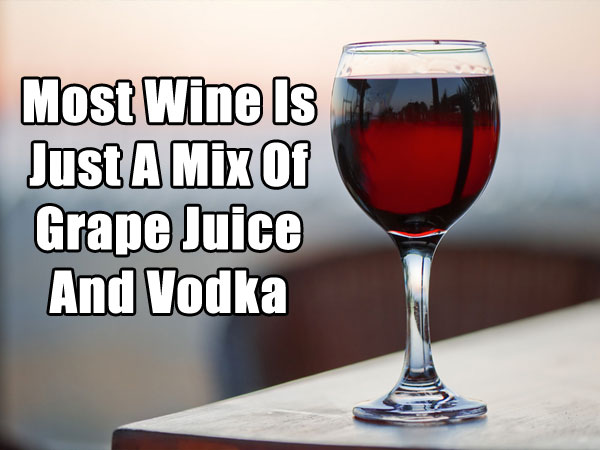 lame pun coon - Most Wine Is Just A Mix Of Grape Juice And Vodka
