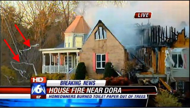 best way to tp a house - Live 'Hd Breaking News On House Fire Near Dora Homeowners Burned Toilet Paper Out Of Trees 67