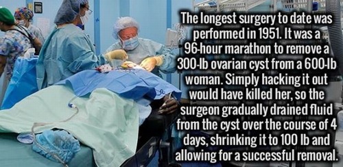 18 Fun Facts You Probably Didn't Know!