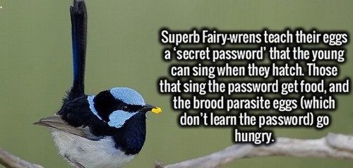 18 Fun Facts You Probably Didn't Know!