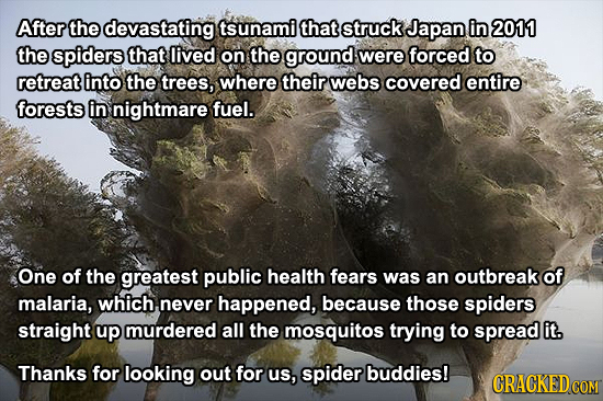 25 Real Facts That Make Common Fears Way Less Scary!