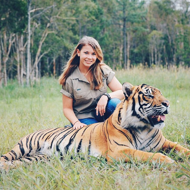 Bindi and a Tiger...Her DAD would be so Proud