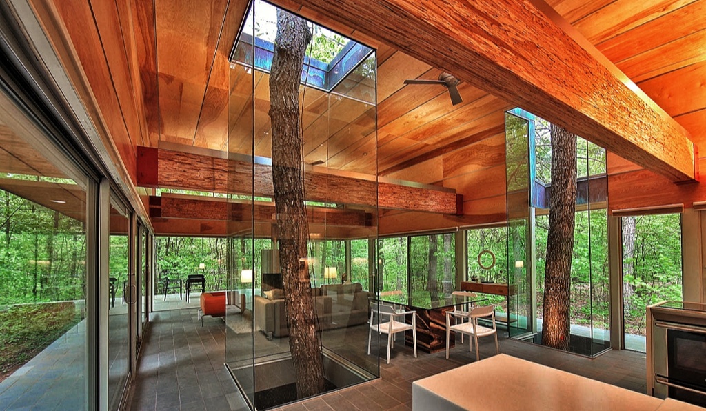 Trees integrated into forest home’s architecture