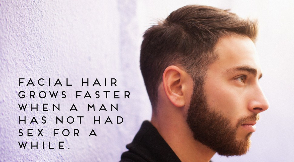 grow beard meme - Facial Hair Grows Faster When A Man Has Not Had Sex For A. While.