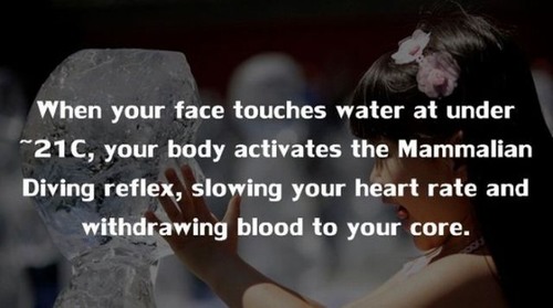 20 Facts About the Human Body You Simply Must Know!