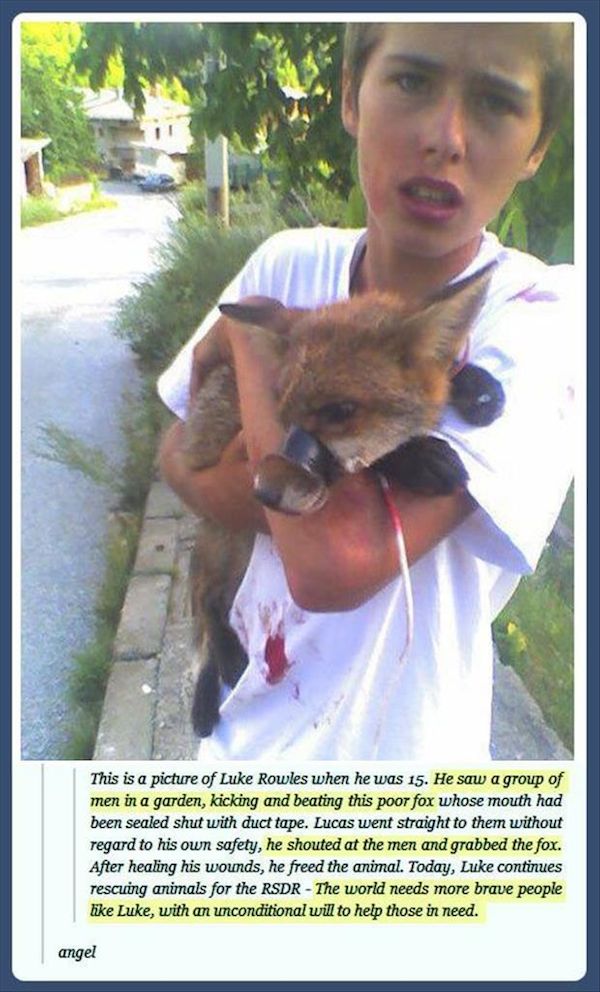 luke rowles - This is a picture of Luke Rowles when he was 15. He saw a group of men in a garden, kicking and beating this poor fox whose mouth had been sealed shut with duct tape. Lucas went straight to them without regard to his own safety, he shouted a