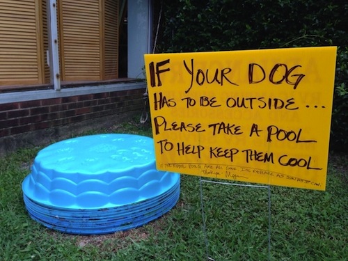 kiddie pool for dogs - If Your Dog Has To Be Outside ... Please Take A Pool To Help Keep Them Cool Filtreras Mar