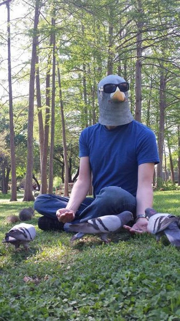 pigeon man funny - 3