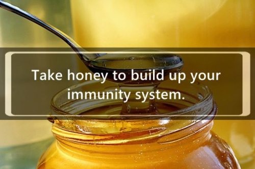 honey - Take honey to build up your immunity system.