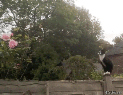 16 Awesome Explosion GIF's!