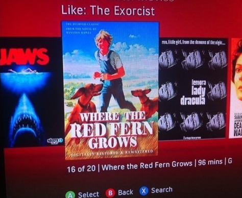 24 Funniest Netflix Suggestions Ever!