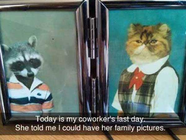 33 Fun Pics To Make Your Day!