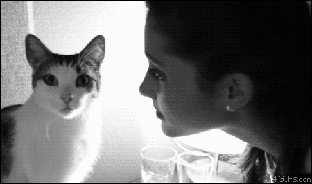 cool pic ariana grande kiss cat gif - 2.4 GIFs.com