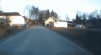 21 Gif's Too Fun To Stop Watching!