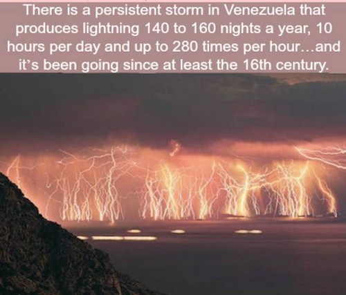 28 Interesting Facts You May Not Know